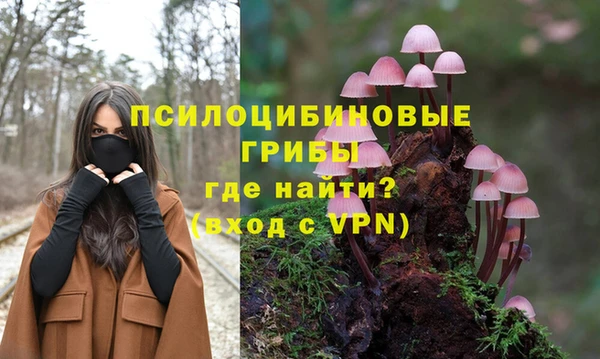 а пвп мука Богданович